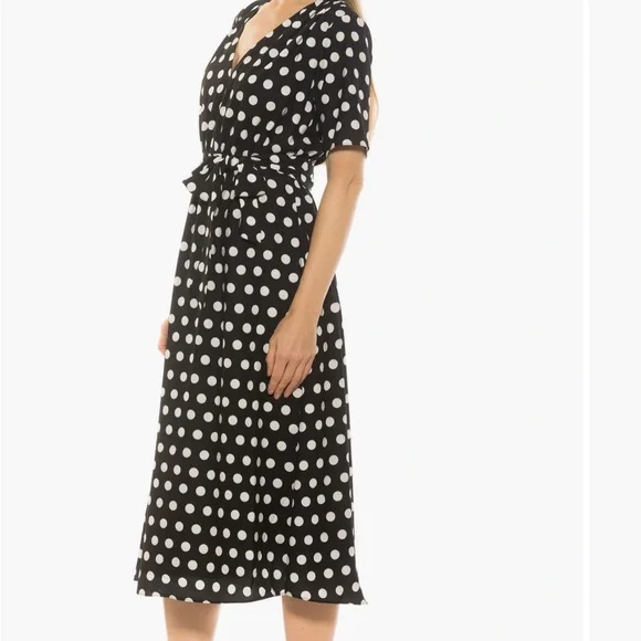 Alexia Admor Larissa Fit and Flare Polka Dot V-Neck Dress with Pockets - EUC - Picture 2 of 4
